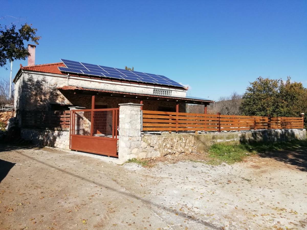 Tsitalia Cottage House 利昂尼迪翁 外观 照片