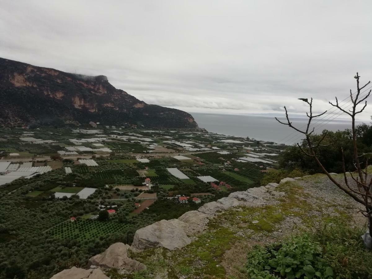 Tsitalia Cottage House 利昂尼迪翁 外观 照片
